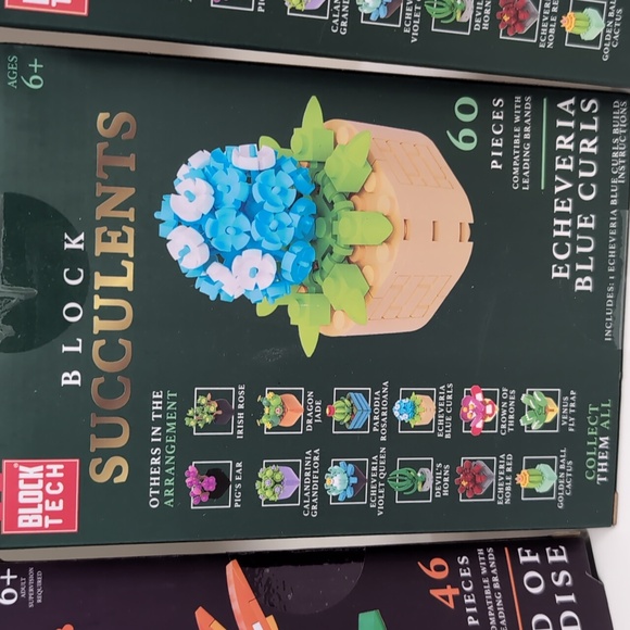 Block Flowers Set of 5- 3 Succulants & 2 Bouquets - Picture 5 of 6